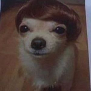 Meet your Posher, Daniela